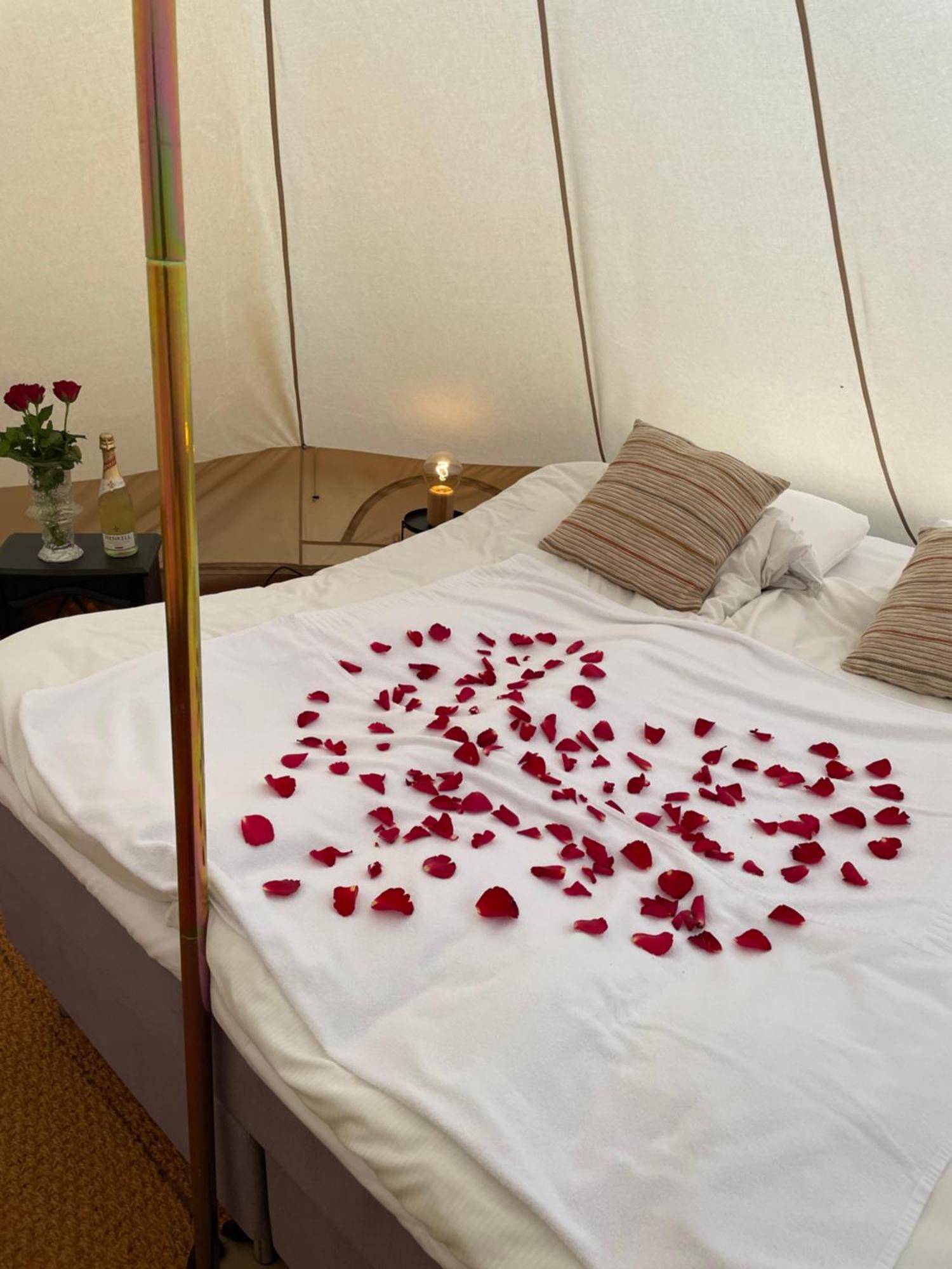 Glamping Tent マリエハムン エクステリア 写真